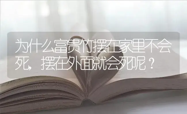 为什么富贵竹摆在家里不会死，摆在外面就会死呢？ | 植物问答