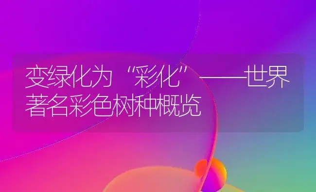 变绿化为“彩化”——世界著名彩色树种概览 | 植物知识