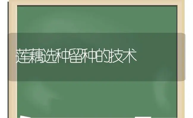 莲藕选种留种的技术 | 植物科普