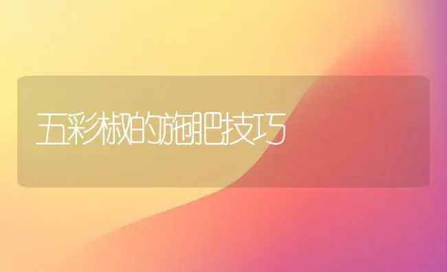 保护地芸豆高效栽培八措施 | 植物科普