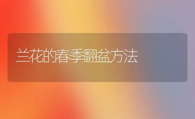 兰花的春季翻盆方法 | 植物知识