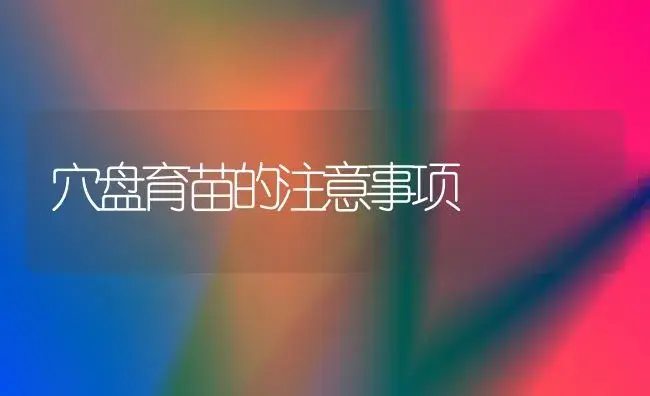 香菜的保鲜的贮藏法 | 植物科普