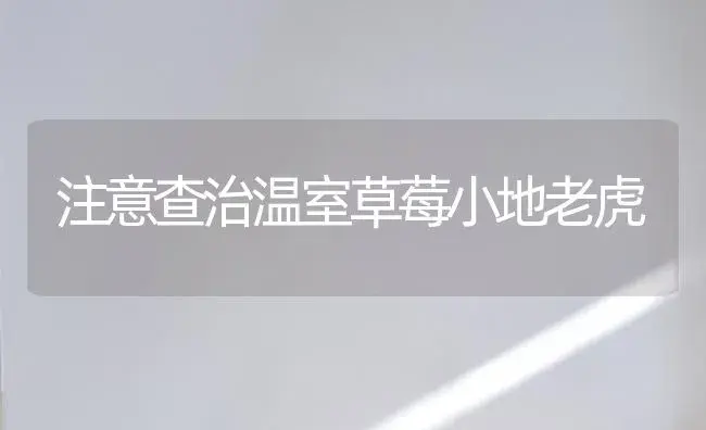 注意查治温室草莓小地老虎 | 植物百科