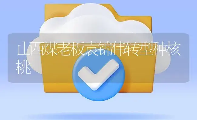 山西煤老板袁锦伟转型种核桃 | 植物百科