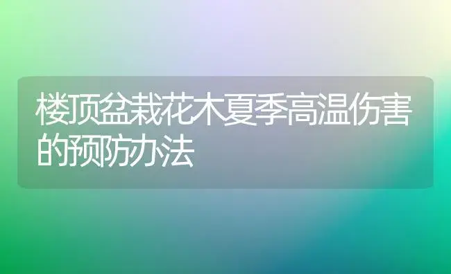 楼顶盆栽花木夏季高温伤害的预防办法 | 植物知识