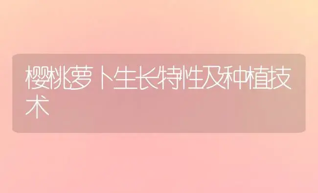 樱桃萝卜生长特性及种植技术 | 植物科普