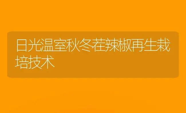 日光温室秋冬茬辣椒再生栽培技术 | 植物科普