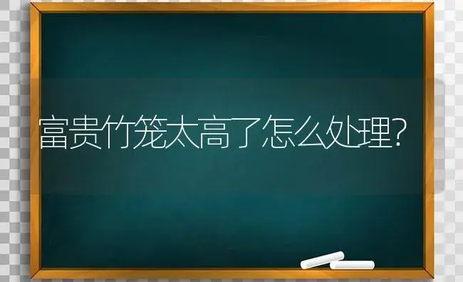 富贵竹笼太高了怎么处理？ | 植物问答