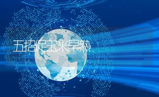 五招促玉米早熟 | 植物资料