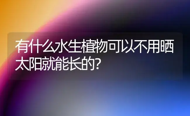 有什么水生植物可以不用晒太阳就能长的？ | 植物问答