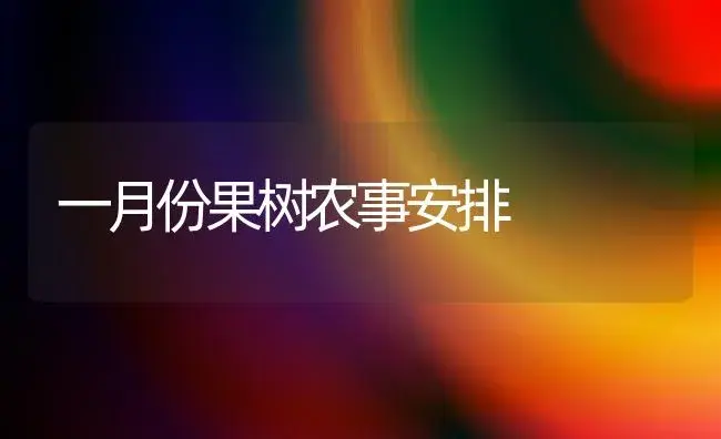 优质苹果新品种皇家嘎拉 | 植物百科