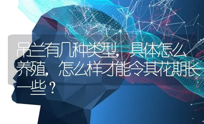 吊兰有几种类型，具体怎么养殖，怎么样才能令其花期长一些？ | 植物问答