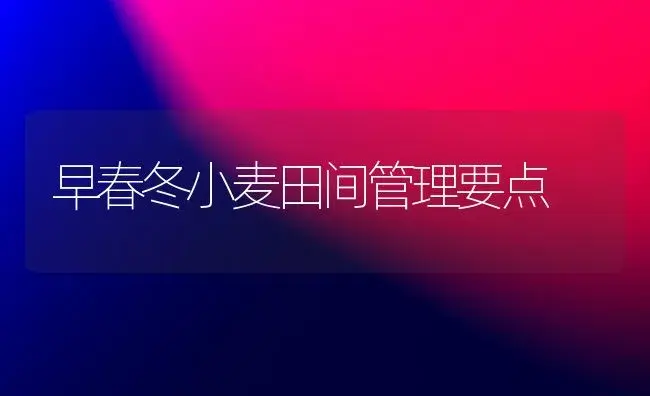 早春冬小麦田间管理要点 | 植物科普