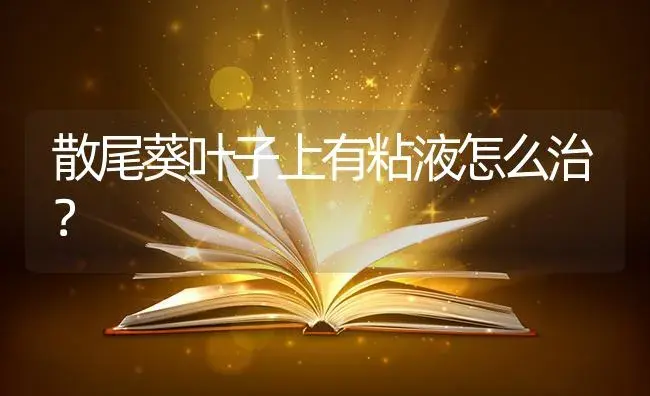 散尾葵叶子上有粘液怎么治？ | 植物问答