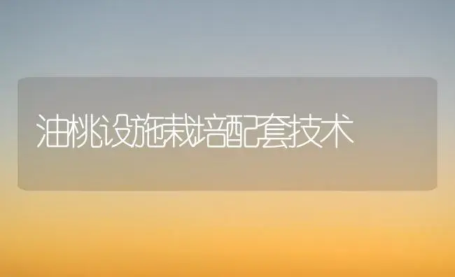速生杨冬季扦插好 | 植物科普