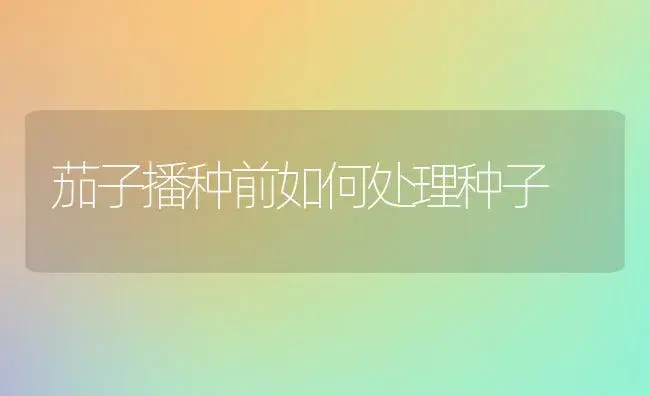 茄子播种前如何处理种子 | 植物科普