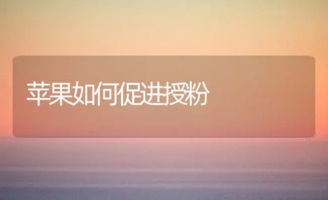 苹果如何促进授粉 | 植物科普