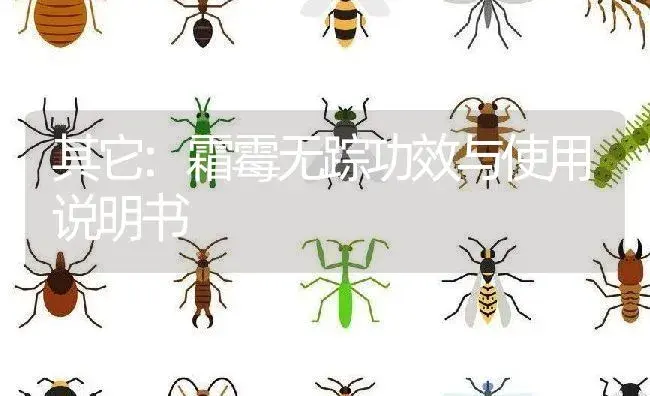 其它：霜霉无踪 | 适用防治对象及农作物使用方法说明书 | 植物资料