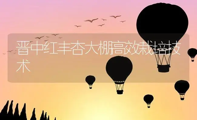晋中红丰杏大棚高效栽培技术 | 植物资料