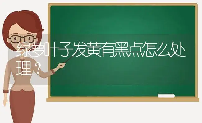 绿萝叶子发黄有黑点怎么处理？ | 植物问答