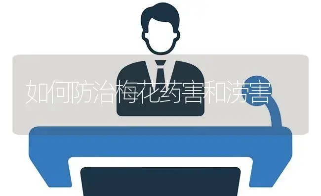 如何防治梅花药害和涝害 | 植物知识