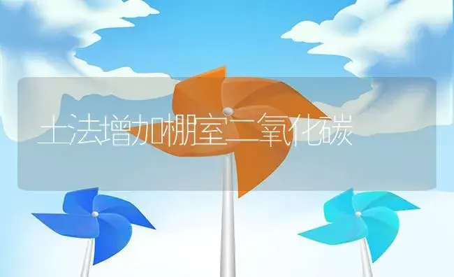 当前温室茄子综合管理 | 植物资料