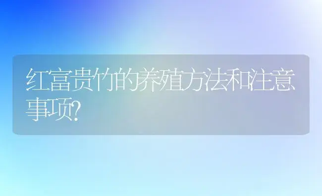 红富贵竹的养殖方法和注意事项？ | 植物问答