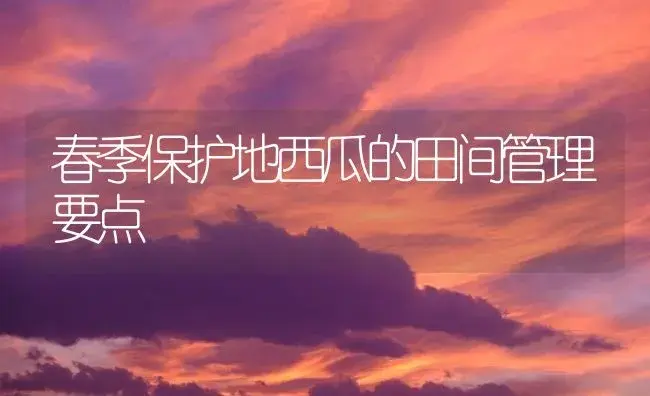 春季保护地西瓜的田间管理要点 | 植物百科