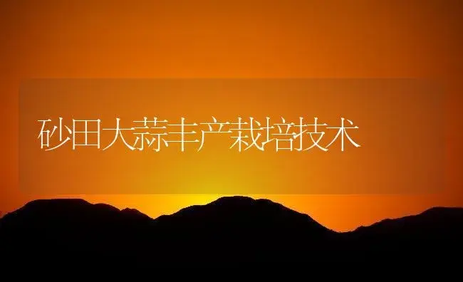 砂田大蒜丰产栽培技术 | 植物百科