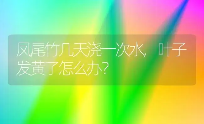 凤尾竹几天浇一次水,叶子发黄了怎么办？ | 植物问答