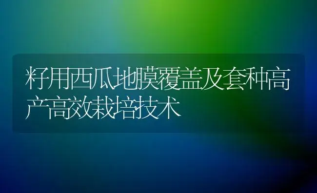 籽用西瓜地膜覆盖及套种高产高效栽培技术 | 植物科普