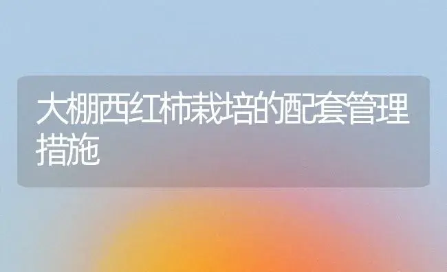 大棚西红柿栽培的配套管理措施 | 植物科普