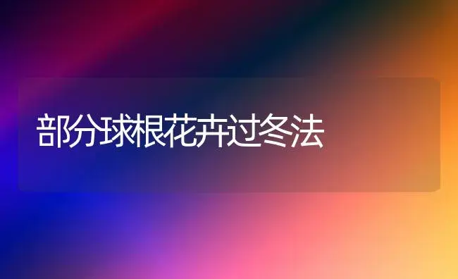 部分球根花卉过冬法 | 植物知识