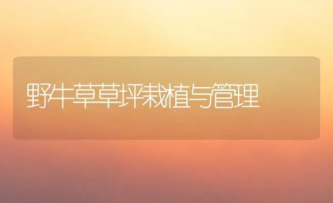 野牛草草坪栽植与管理 | 植物科普