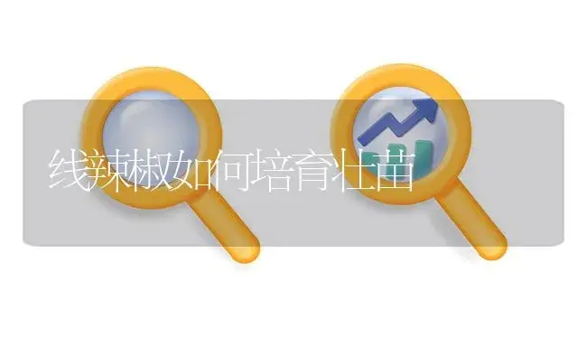 枣树品种---金铃圆枣 | 植物百科