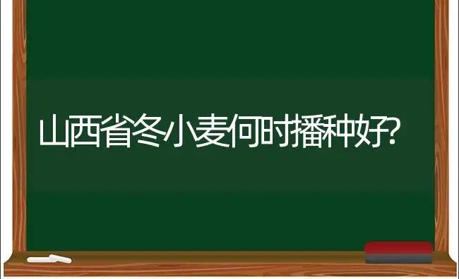 山西省冬小麦何时播种好? | 植物科普