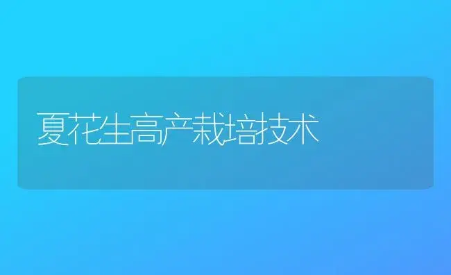 夏花生高产栽培技术 | 植物科普
