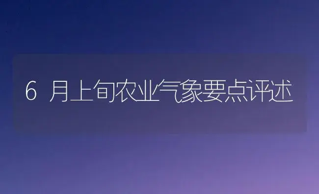 银杏新品种——恩银1号 | 植物科普