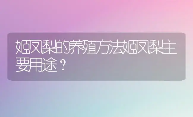 姬凤梨的养殖方法姬凤梨主要用途？ | 植物问答