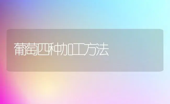 葡萄四种加工方法 | 植物百科