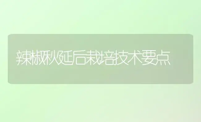 辣椒秋延后栽培技术要点 | 植物科普