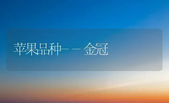 苹果品种--金冠 | 植物百科
