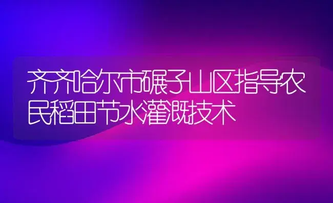 齐齐哈尔市碾子山区指导农民稻田节水灌溉技术 | 植物科普