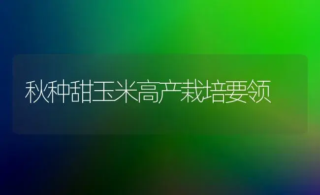 秋种甜玉米高产栽培要领 | 植物科普
