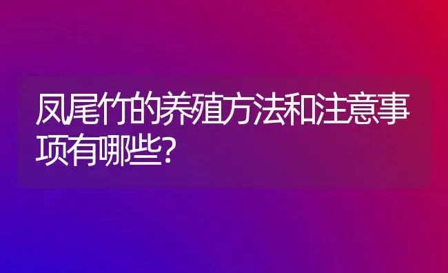 凤尾竹的养殖方法和注意事项有哪些？ | 植物问答