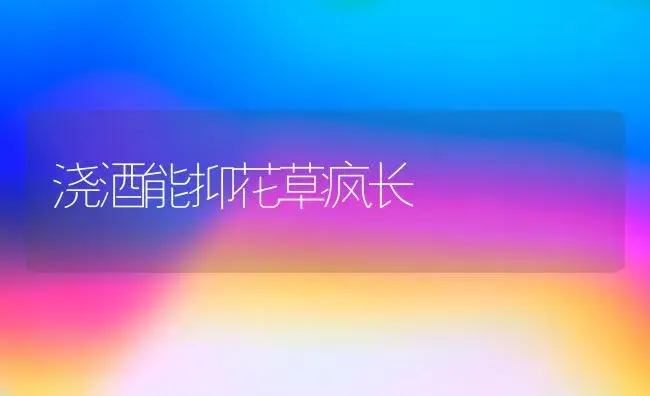 浇酒能抑花草疯长 | 植物科普