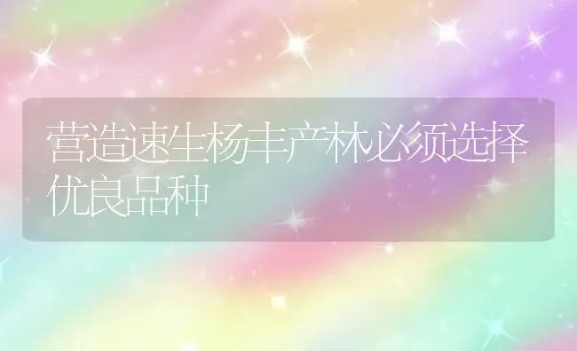 营造速生杨丰产林必须选择优良品种 | 植物科普