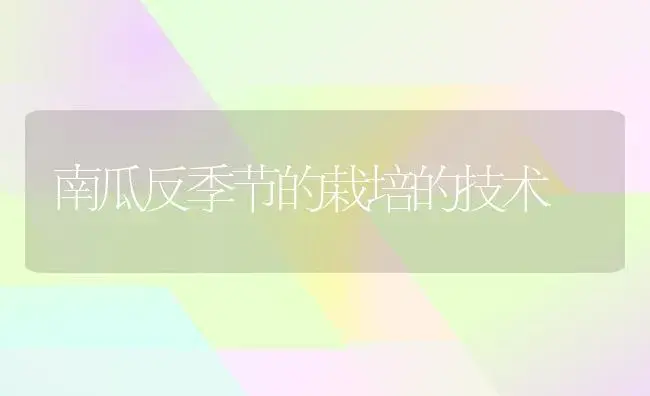 南瓜反季节的栽培的技术 | 植物科普