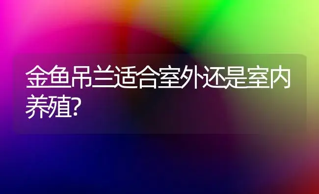 金鱼吊兰适合室外还是室内养殖？ | 植物问答