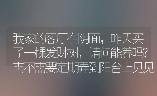 我家的客厅在阴面，昨天买了一棵发财树，请问能养吗?需不需要定期弄到阳台上见见光，貌似听说不能随便动？ | 植物问答